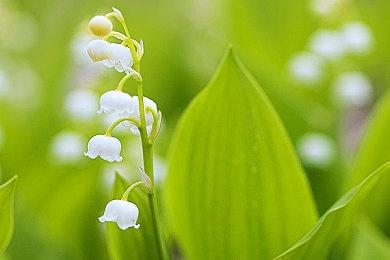 《黑色行动6》将在《战地6》首发周期间免费开放所有内容